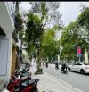 Hiếm có khó tìm! MẶT PHỐ NGUYỄN ĐÌNH CHIỂU 55m2,6T, VIEW THOÁNG SÁNG