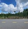 Đất ngộp THANH AN HỚN QUẢN 10X50m CÓ 200 THỔ GIÁ 450 TRIỆU,ĐƯỜNG 18m
