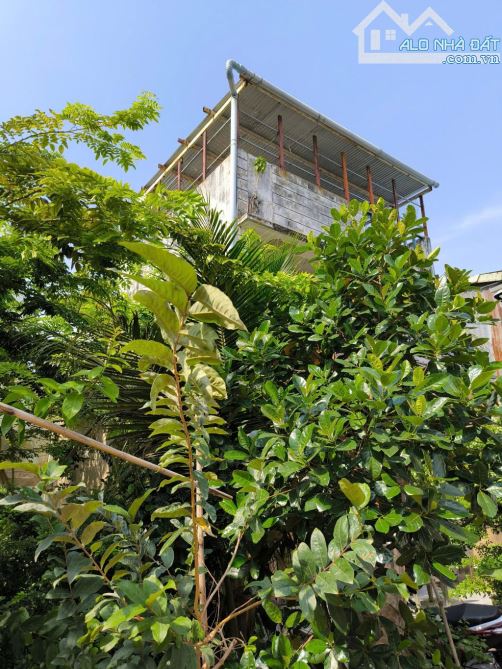 Bán đất full thổ cư đường thạnh Lộc 15 phường thạnh Lộc quận 12