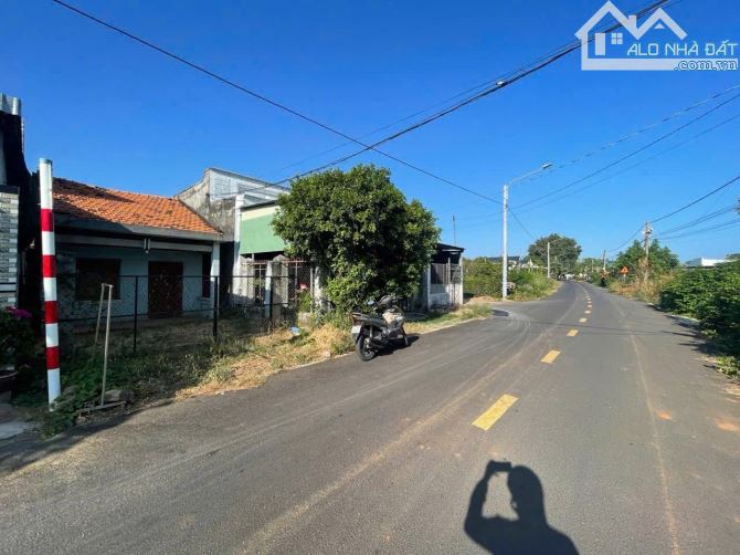 🏡 BÁN LÔ ĐẤT MẶT TIỀN ĐƯỜNG TRẦN VĂN TRƯƠNG – TT ĐẤT ĐỎ, BÀ RỊA - VŨNG TÀU  📐 Diện tích:
