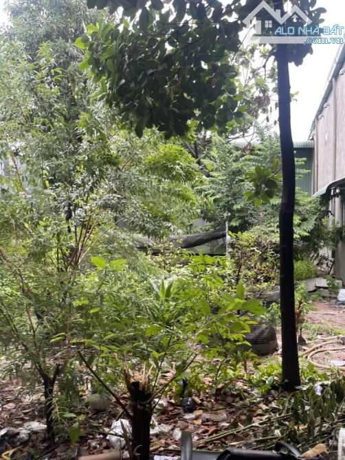 ĐẤT THỔ CƯ 870m2 - 26.5 TỶ - Trần Thị Hè, Hiệp Thành, Q12 - Cơ Hội Đầu Tư Vàng!