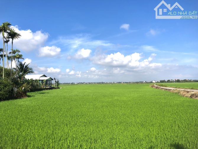 HÀNG HIẾM : Sở Hữu Mặt View Lúa Lên Đến 55m mặt tiền đường Lê Thánh Tông - An Mỹ - Hội An.