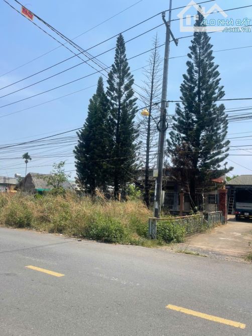 👉Mặt tiền Mai Chí Thọ, Tam Phước, Biên Hoà. ◾️3,2sao (32x100m). Có 175m2 Thổ Cư. Chỉ 3,9t