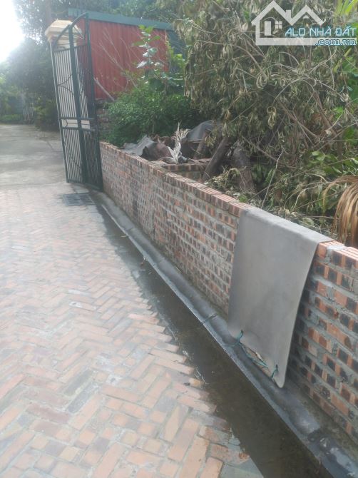 Bán đất Xóm Chợ, Cổ Loa, Đông Anh 53M