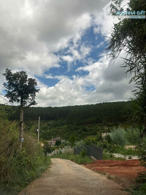 🔥ĐẤT MÊ LINH – 3.700M² – MẶT TIỀN KHỦNG 70M – SỔ HỒNG RIÊNG‼️