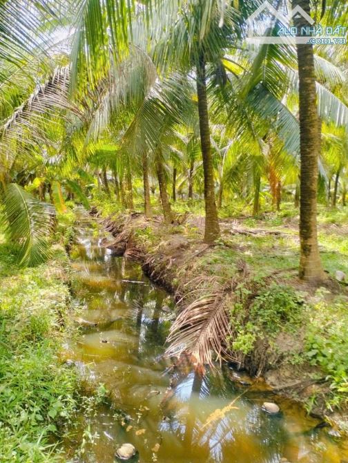 🌳 CẦN BÁN GẤP 972m² ĐẤT TRỒNG DỪA TẠI ẤP LONG ĐẠI – XÃ LONG ĐỨC, TRÀ VINH .  👍 Cách đườn
