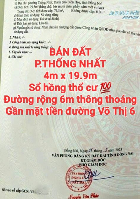 BÁN ĐẤT THỐNG NHẤT, SỔ HỒNG THỔ CƯ ĐƯỜNG RỘNG 6m GẦN MẶT TIỀN VÕ THỊ 6 - 1