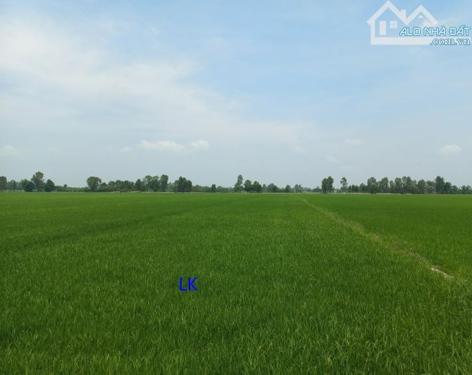 🔰Bán đất lúa: 37.000m² (Mặt tiền 30m, nở hậu) 🔰Đường ĐT 856, xã Phương Thịnh - 1