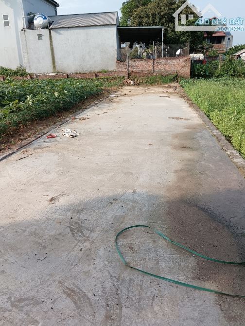 Bán Đất-Xã Hiển Ninh(Sóc Sơn)-80M2 Full Thổ Cư-1Tỷ85 - 1
