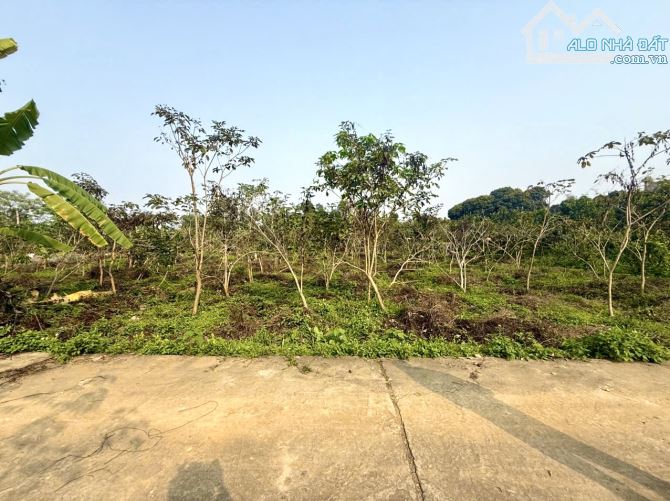 Bán lô 360m2, ngay gần Làng VH 54 dân tốc, Đại lộ Thăng Long - Hoà Lạc. Giá dưới 2tỷ - 1