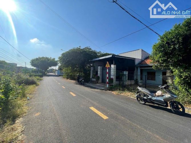 🏡 BÁN LÔ ĐẤT MẶT TIỀN ĐƯỜNG TRẦN VĂN TRƯƠNG – TT ĐẤT ĐỎ, BÀ RỊA - VŨNG TÀU  📐 Diện tích: - 2