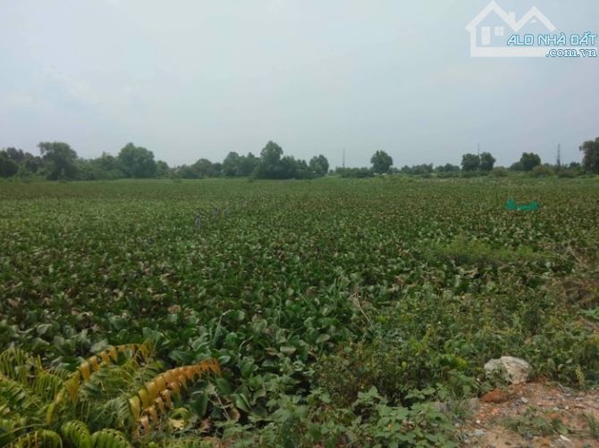 CƠ HỘI ĐẦU TƯ VÀNG: 10.000m2 ĐẤT NÔNG -NGHIỆP GIÁ CHỈ 39 TỶ TẠI TÂN HIỆP, HÓC MÔN! - 2
