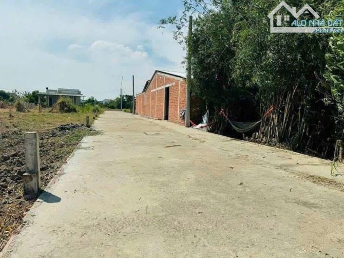 Bán lô đất vườn xã Mỹ Lộc, Cần Giuộc: 852m2 được chuyển thổ cư - 2