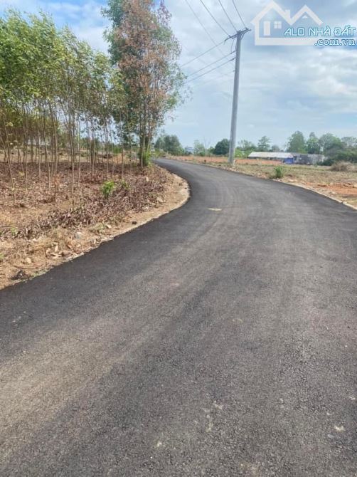 Bán 1 sào bàu cạn có hai mặt tiền giá mềm - 2