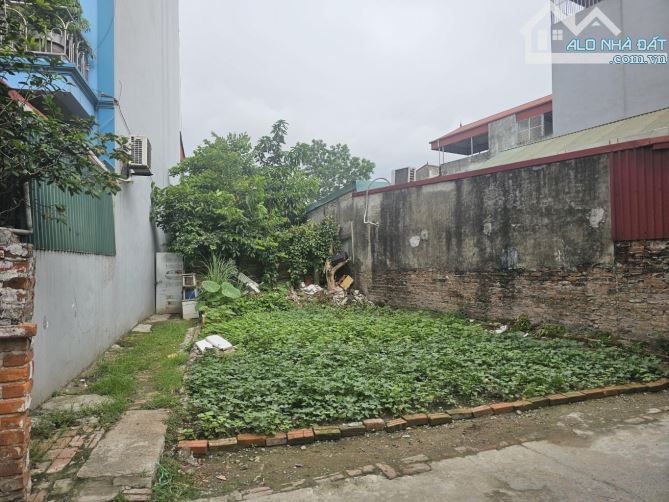 BÁN ĐẤT NGÔ GIA TỰ -THANH AM- LONG BIÊN- DT :51 MÉT - MT6,5MÉT-GIÁ 3,8TỶ - 3