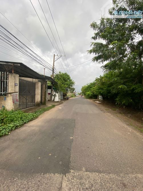 NT045 Cho thuê đất và văn phòng : 4 sào ( 4000m2 ) P An Hoà - Biên Hoà - Đồng Nai  ——————— - 3
