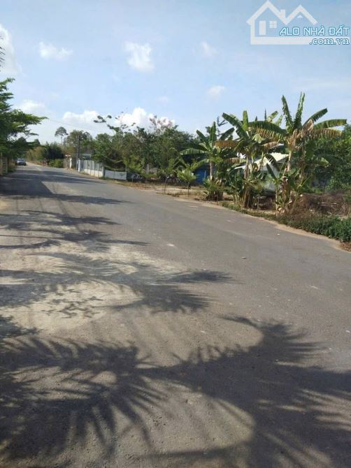 👉Hàng Ngộp An Viễn - Trảng Bom - Đồng Nai Diện tích : 4.300m2. Sổ Riêng full hồng  ●Trục - 3