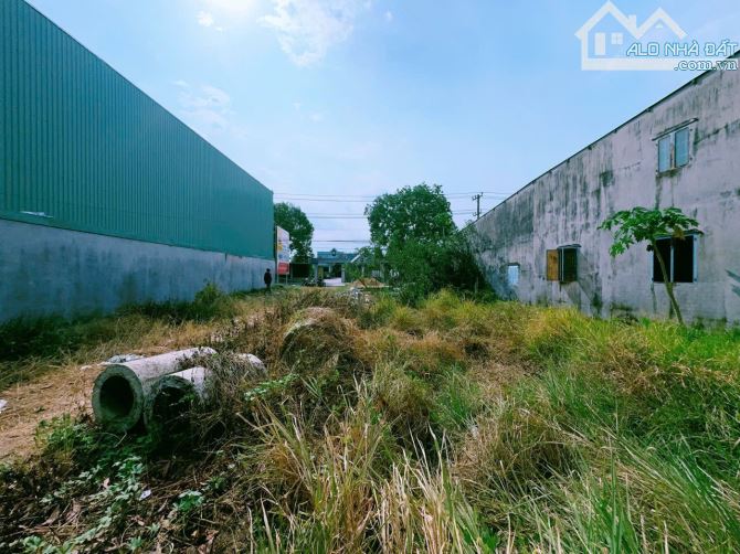 Bán lô đất 261m2 mặt tiền đường Nguyễn Hoàng Gần KCN Bầu Xéo Sông Trầu Trảng Bom - 3