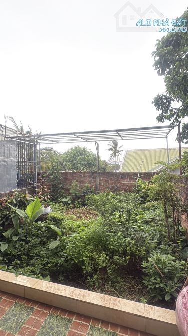 💥 Sang nhà mê hẻm Ama Quang- p. Hoa Lư - 5