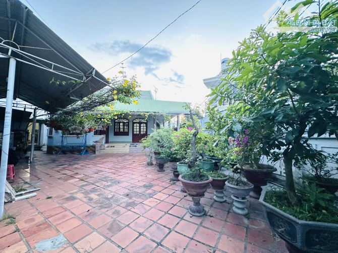 Giảm 2 tỷ bán đất tặng nhà cấp 4 mặt tiền đường Cầu Dứa - Phú Nông, đầu tư và nghỉ dưỡng - 5