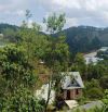 🌲557m - Măng Lin- Phường 7 Đà Lạt- mặt tiền đường chính-🌲View rừng thông 22tr/m