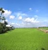 HÀNG HIẾM : Sở Hữu Mặt View Lúa Lên Đến 55m mặt tiền đường Lê Thánh Tông - An Mỹ - Hội An.