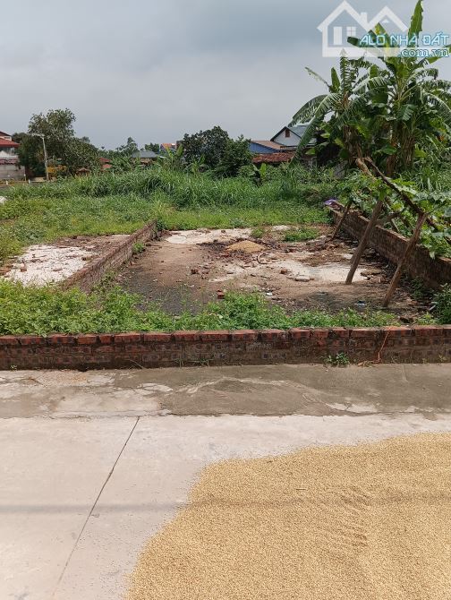 Bán Đất-Thanh Trí(Minh Phú-Sóc Sơn)-91M2- Đuờng Thông Ô Tô-1,8tỷ