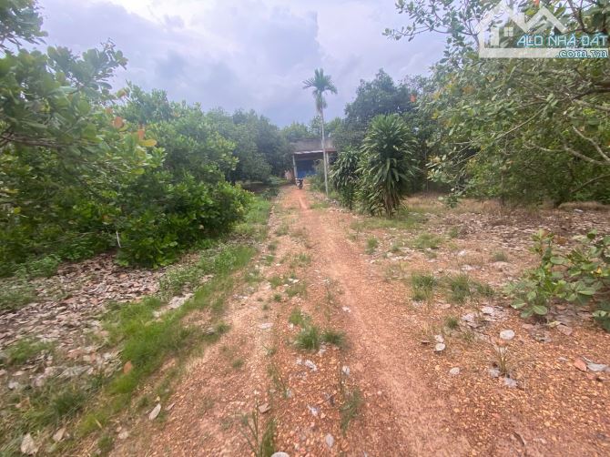 2,2ha nhà cửa điện nước đầy đủ,cách nhựa 150m chỉ vơi giá 1 tỷ 350 triệu