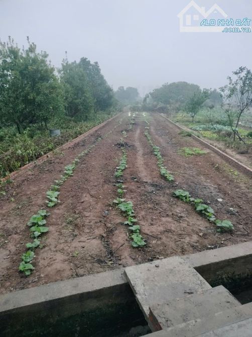 Bán đất giá cực rẻ tại Yên Nghĩa, Hà Đông, Hà Nội