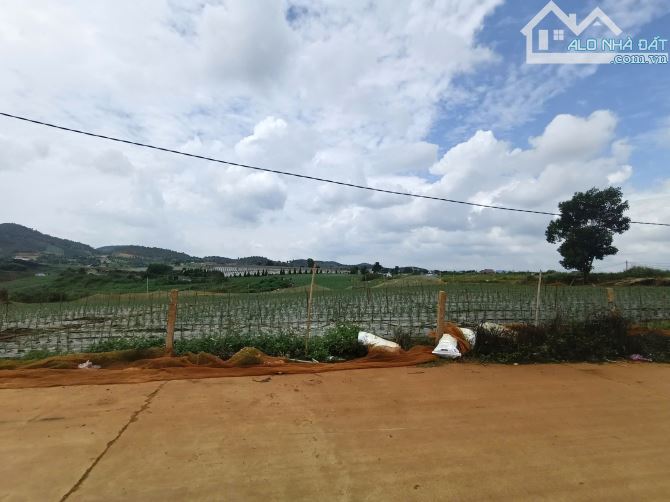 CHỈ 1 TỶ 500 TRIỆU SỞ HỮU NGAY LÔ ĐẤT 10M MẶT TỀN GẦN SÂN BAY LIÊN KHƯƠNG - LÂM ĐỒNG