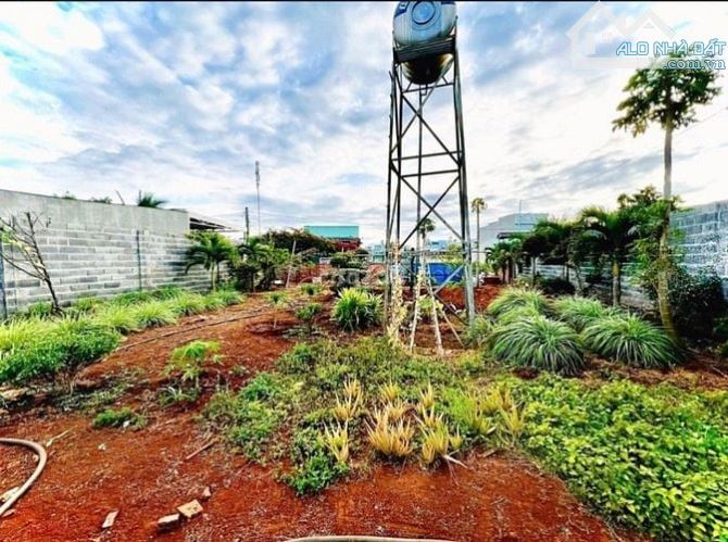 CẦN BÁN LÔ ĐẤT ĐẸP TÂN THƯỢNG , DI LINH , LÂM ĐỒNG , 8 XÀO RƯỠI , GIÁ SIÊU RẺ