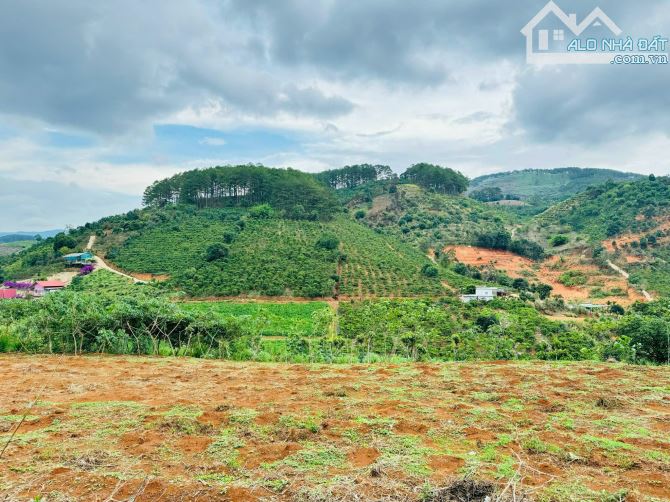 Bán đất tại Mê Linh, Lâm Đồng . Sổ hồng 267m2 . Cách Đà Lạt 21km