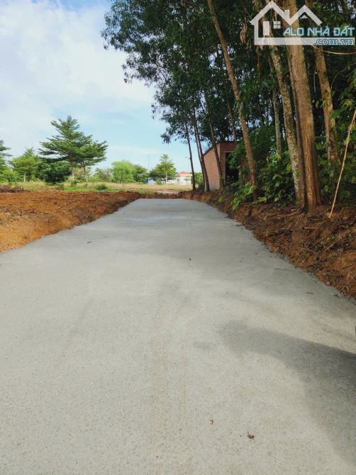 Bán lô đất sổ riêng thổ cư An Phước Long Thành 1.25 tỷ