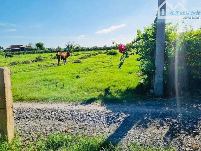 1000m2 đất 🌾giá 549tr đường 🚗cóc, sổ sẵn dân đông