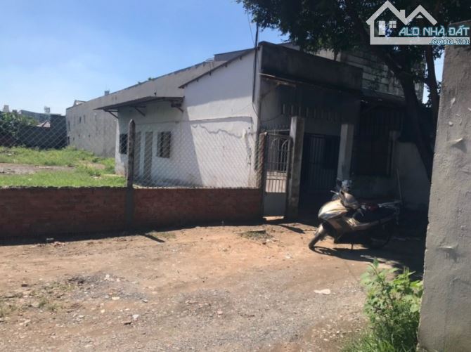 Lô đất đẹp HXT Tân Hiệp 8-1 ,Hóc Môn DT 927m2 . Giá chỉ 13 tỉ (TL). - 1