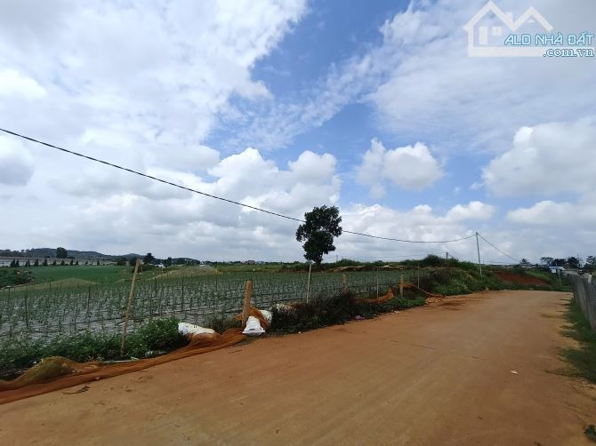 CHỈ 1 TỶ 500 TRIỆU SỞ HỮU NGAY LÔ ĐẤT 10M MẶT TỀN GẦN SÂN BAY LIÊN KHƯƠNG - LÂM ĐỒNG - 1