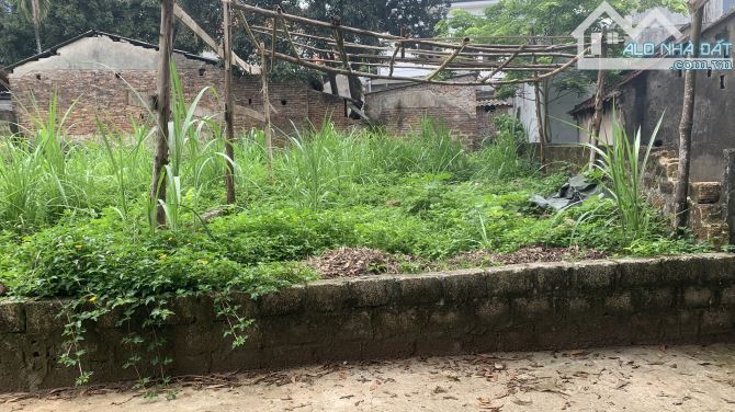Tài chính chưa đến 2 tỷ sở hữu mảnh đất gần quốc lộ tại Đông Sơn - 1