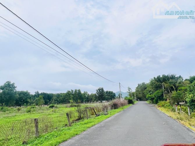 BÁN ĐẤT THỊ TRẤN PHƯỚC HẢI - BRVT - CÁCH TỈNH LỘ 44B 300M 🌈🌈DT 919M2  ngang 15m sâu 62m - 1