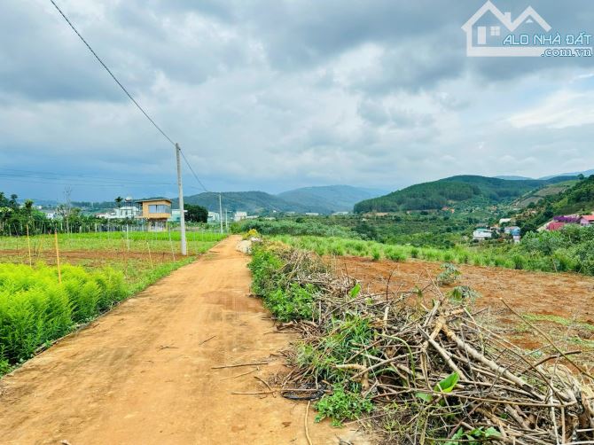Bán đất tại Mê Linh, Lâm Đồng . Sổ hồng 267m2 . Cách Đà Lạt 21km - 1