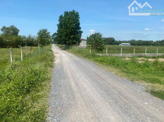 Bán đất vườn xã Trung Lập Hạ, Củ Chi, MT đường xe tải, cách chợ Lô Sáu 1km, 500m², 1.5 tỷ - 1