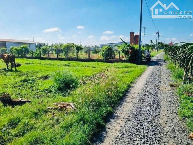 1000m2 đất 🌾giá 549tr đường 🚗cóc, sổ sẵn dân đông - 1