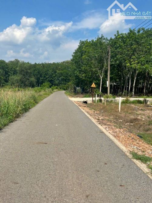 Bán 1,1 sào đất Gần ủy ban Xã Tân Lợi,Đối diện Khu Du lịch,giá 300 Triệu - 1