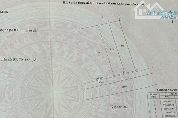 Bán gấp lô đất đường xe hơi Lý Nhơn, xã Lý Nhơn, Cần Giờ - 2