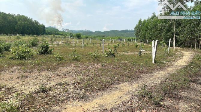 CẦN BÁN LÔ ĐẤT KHÁNH BÌNH – KHÁNH VĨNH - 2