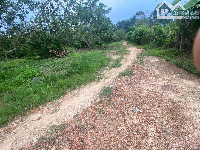 2,2ha nhà cửa điện nước đầy đủ,cách nhựa 150m chỉ vơi giá 1 tỷ 350 triệu - 2