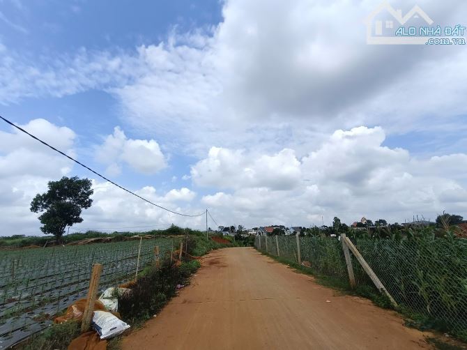 CHỈ 1 TỶ 500 TRIỆU SỞ HỮU NGAY LÔ ĐẤT 10M MẶT TỀN GẦN SÂN BAY LIÊN KHƯƠNG - LÂM ĐỒNG - 2