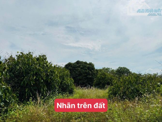 Lốc 5 lô liền kề tại thị trấn Eakar - DakLak chỉ 179 triệu/1 lô - 2