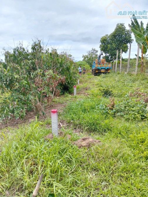 Đất ngay thị trấn Eakar tỉnh DakLak gần hồ Eakar Nop - 2