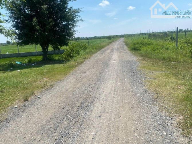 Bán đất vườn xã Trung Lập Hạ, Củ Chi, MT đường xe tải, cách chợ Lô Sáu 1km, 500m², 1.5 tỷ - 2