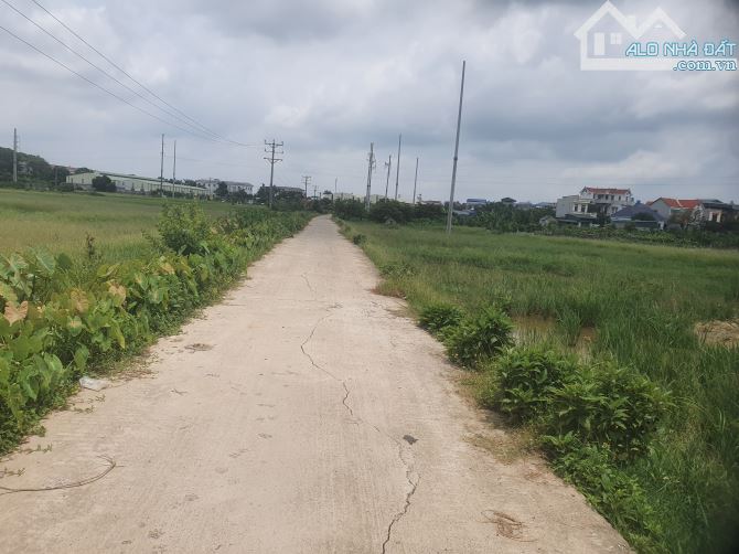 CTY cần bán nhanh 2,5ha đất SXKD Cụm Phùng Chí Kiên, mặt đường Phạn Ngũ Lão, chỉ 3,1 tr/m - 2